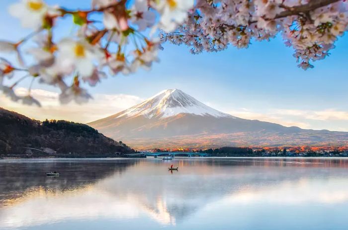 Reflection of Mount Fuji with Cherry Blossom Branches at Kawaguchiko Lake in Spring