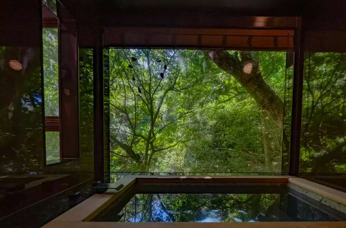 An indoor hot soaking tub at Treeful Treehouse Sustainable Resort.