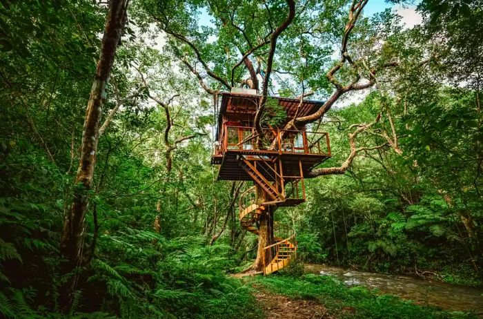 Exterior of the Spiral Treehouse at Treeful Treehouse Sustainable Resort in Osaka, Japan