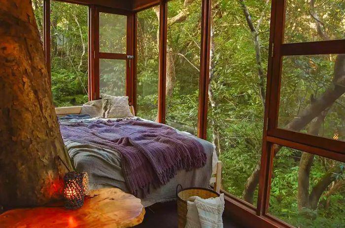 Interior view of the bedroom in a treehouse at Treeful Treehouse Sustainable Resort