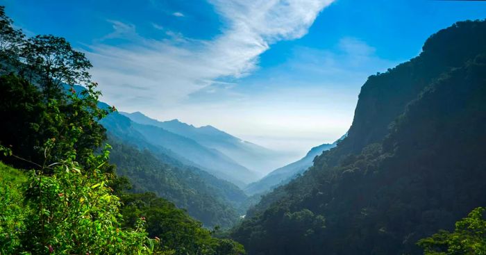 Nilgiri Hills