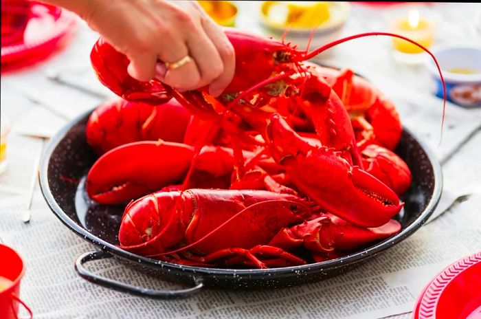 A person enjoying lobster from a plate in Camden, Maine