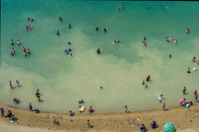 An aerial view of swimmers stirring up sediment in the murky waters of the Detroit River at Belle Isle