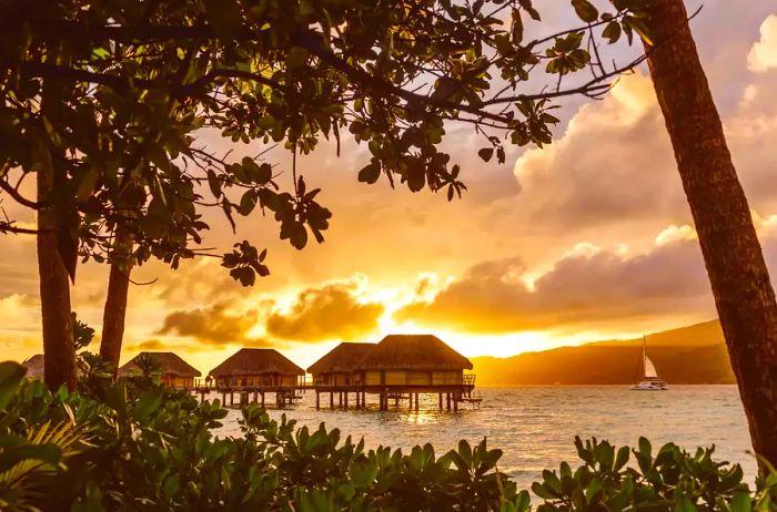 A view from the trees during the sun's golden hour, showcasing overwater bungalows and a sailboat