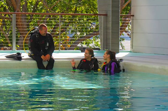 Divers practicing in the dive pool at Quicksilver Dive