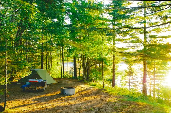 A campsite featuring a tent, nestled among trees and greenery as the morning sun rises