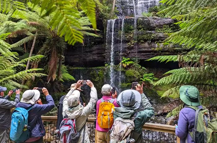 Travelers gather near a railing to photograph Russell Falls in Australia.