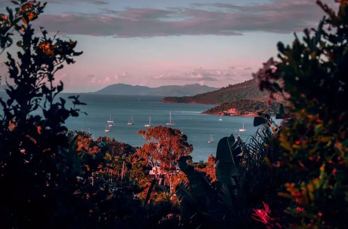 A view of boats on the water framed by trees at Airlie Beach, Queensland during sunset