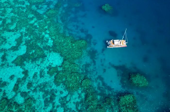 Bird's-eye view of a boat cruising over the Great Barrier Reef