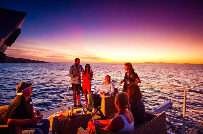 Guests sharing a meal together on the Rodney Fox Shark Expeditions boat near North Neptune Island in South Australia