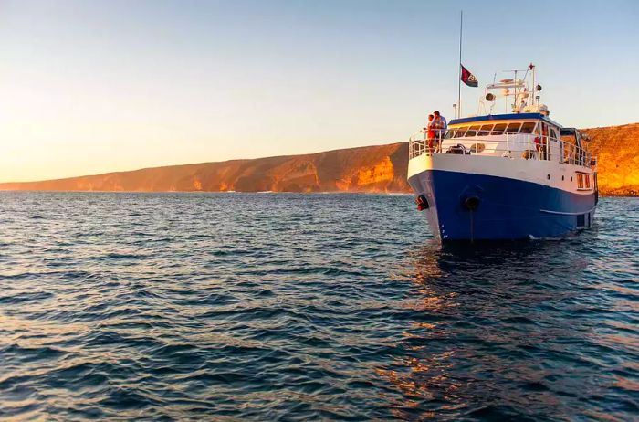 The Rodney Fox Shark Expeditions vessel near Thistle Island, Spencer Gulf in South Australia