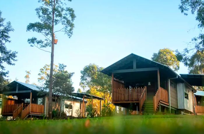 The individual cabins at Crocodile Hunter Lodge