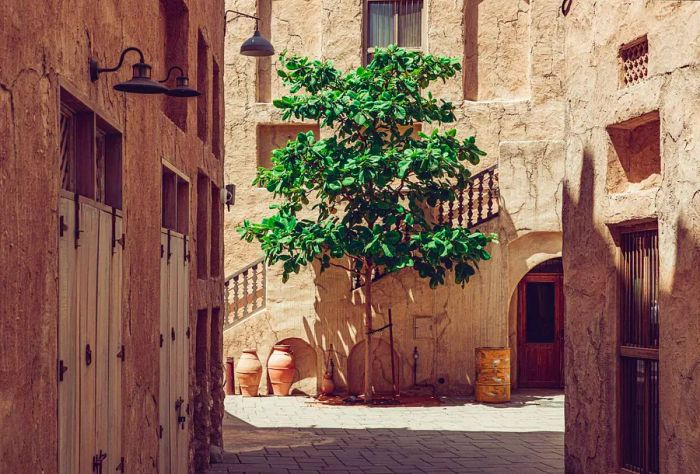 A narrow passage in a historic area featuring mud and brick homes.