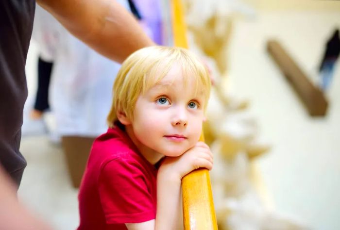 A young boy leans on a wooden railing, gazing upwards.