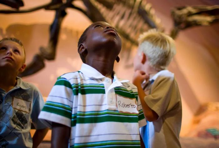 THEME_NATURAL_HISTORY_MUSEUM_PEOPLE_KIDS_GettyImages-104300987