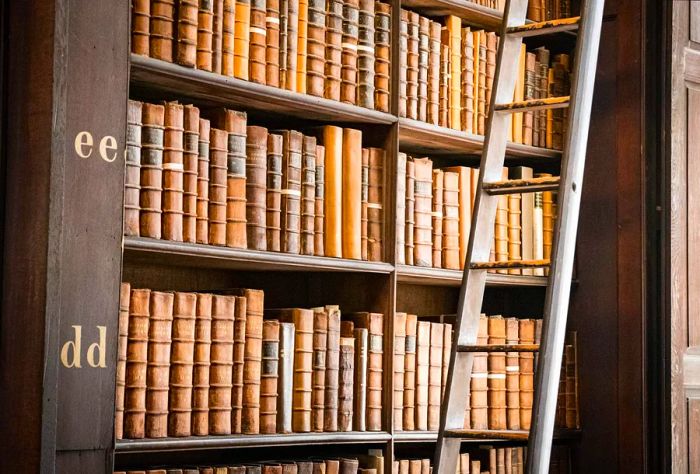 A bookshelf filled with books alongside a ladder.