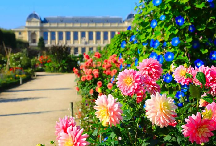 Jardin des Plantes, a botanical garden located in Paris, France.