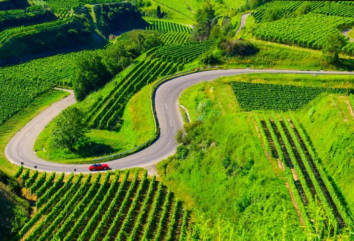 A bright red convertible cruising through vineyards on a winding road.