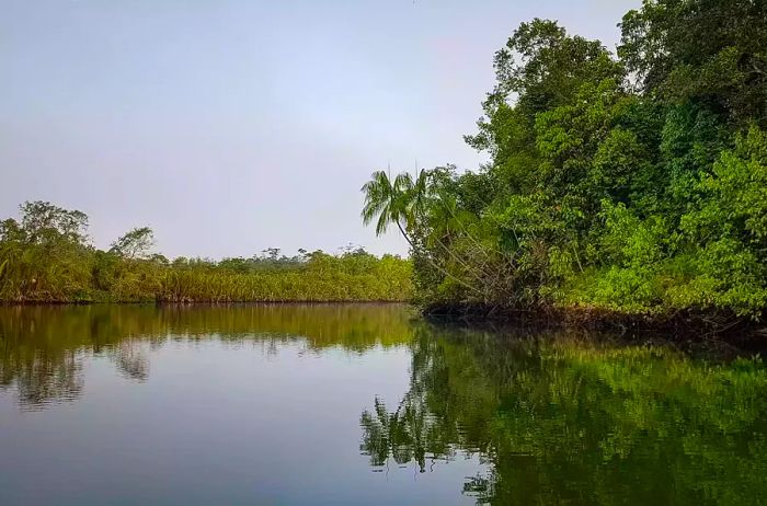 A river winding through the jungle near Chi Phat village in the Cardamom Mountains, Cambodia