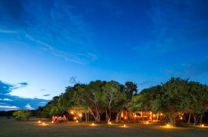 Nighttime Adventure in the Mara, Kenya