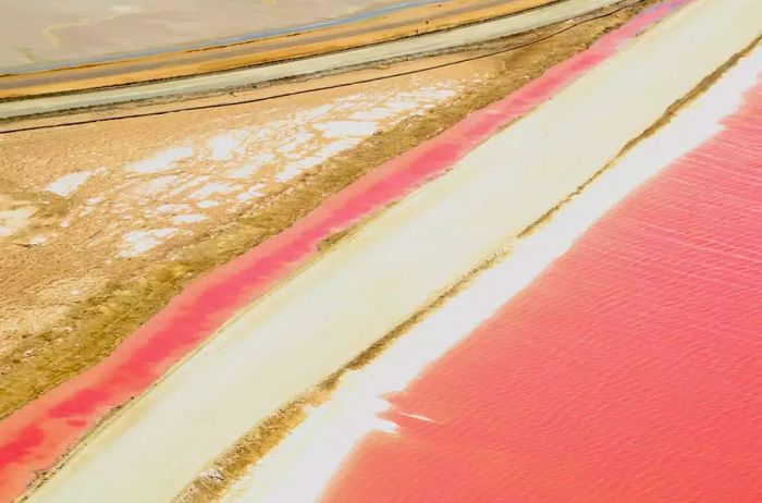 A stunning pink-hued lake known as The Pink Lake in Namibia