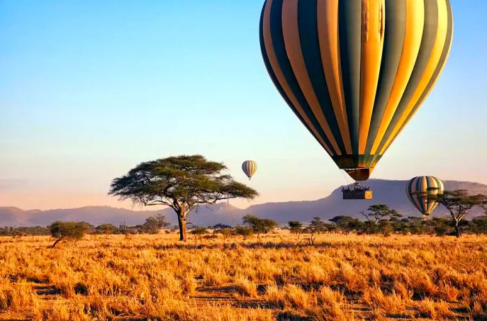 Three hot air balloons gracefully glide over the plains of Serengeti National Park at sunrise.