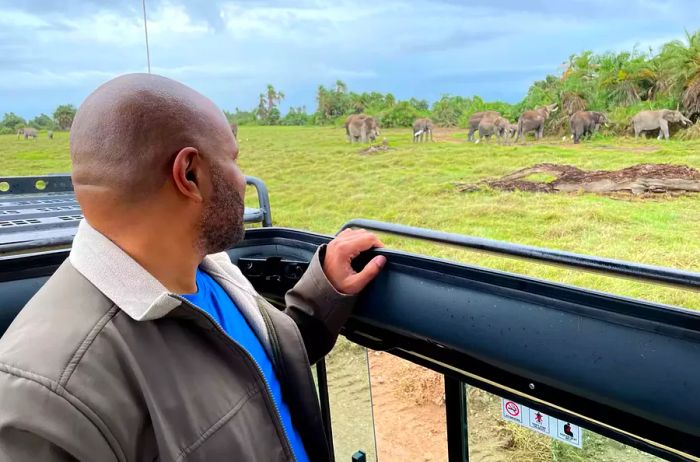 Kwin reminisces about watching elephants graze in Amboseli National Park.