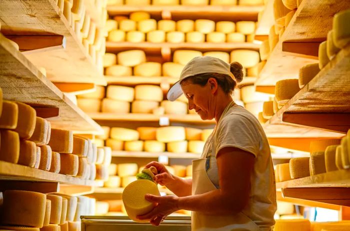 A woman carefully dusting cheese inside a cheese cave.