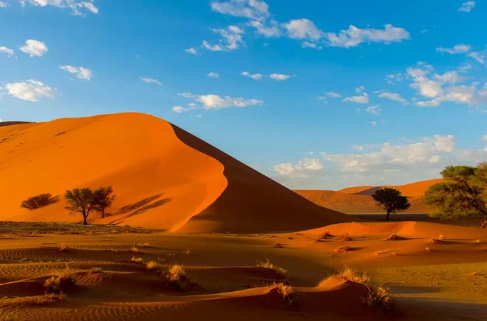 A vibrant pink sand dune located in the Sossusvlei region of Namib-Naukluft National Park, Namibia