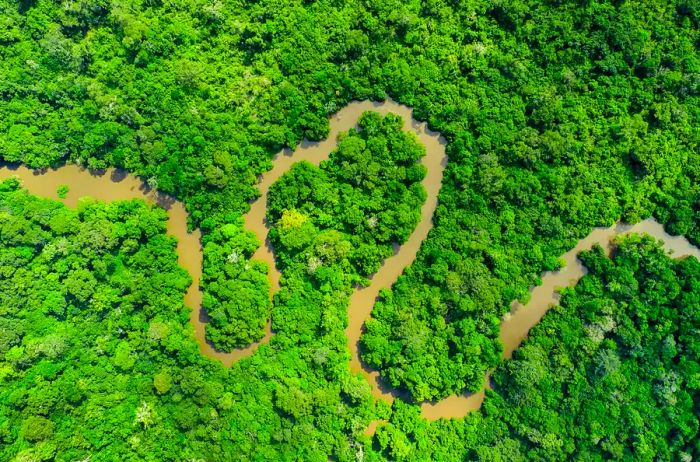 Aerial view of the lush rainforest in the Congo Basin within Odzala National Park, Republic of Congo