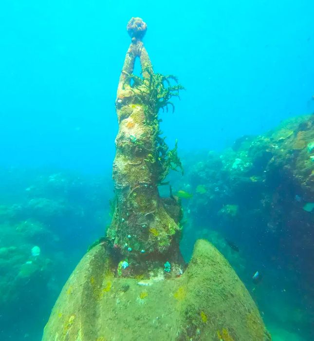 The Nutmeg Princess at the Molinière Underwater Sculpture Park in Grenada