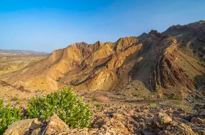 Valley in the Hajar Mountains, Hatta, UAE