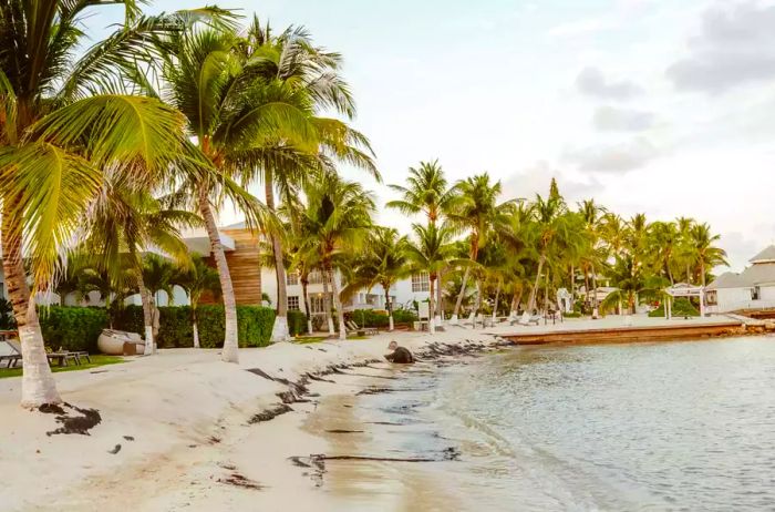 Tranquil beach on Ambergris Caye, Belize