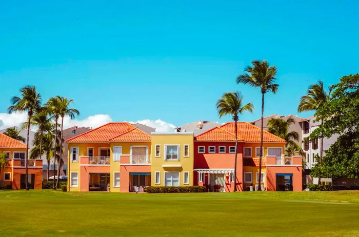 Vibrant homes surrounded by palm trees in Puerto Rico