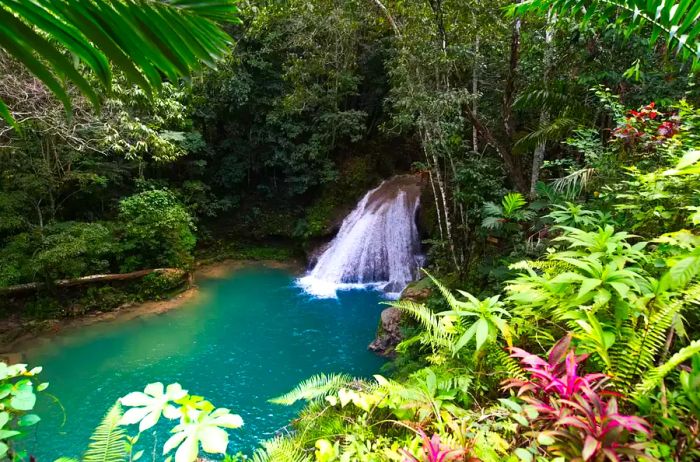 One of the stunning waterfalls at the Blue Hole nestled in the hills of Ocho Rios, Jamaica.