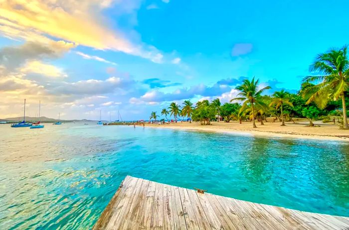 A serene twilight view of palm trees lining Protestant Cay Beach in Christiansted Harbor, St. Croix, US Virgin Islands.