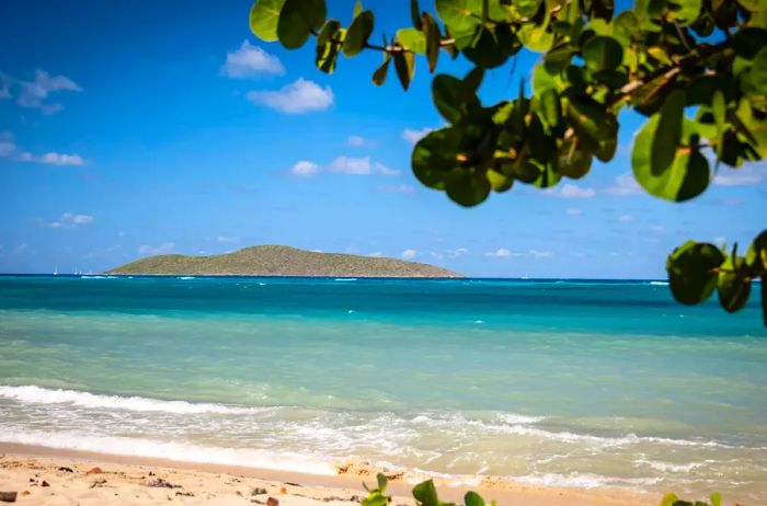 A glimpse of Buck Island, located off the coast of St. Croix in the US Virgin Islands.