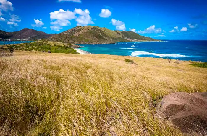 Serene view of a tropical yet somewhat dry hillside