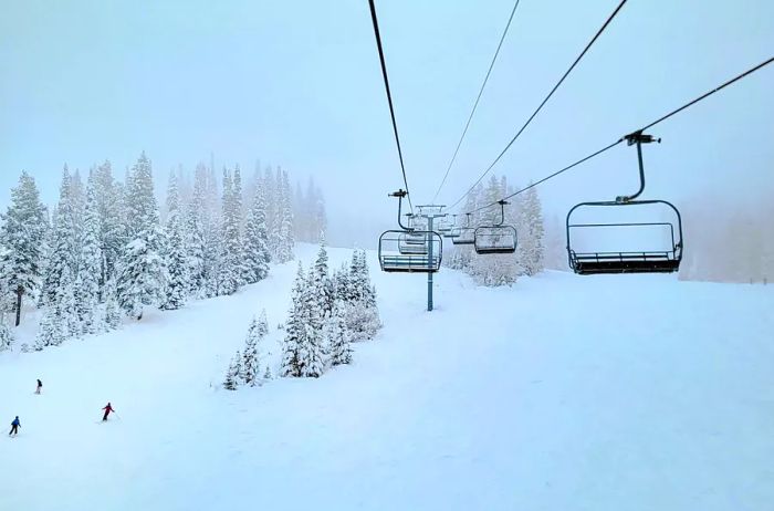 Skiers enjoying the slopes in Park