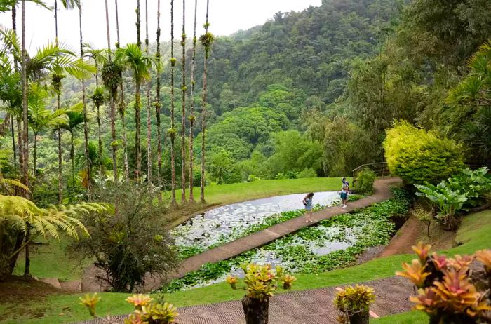 Visitors by a tranquil pool in the Jardin de Balata botanical garden