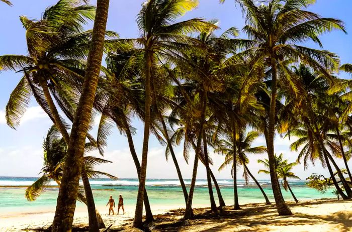 A couple enjoys the beach at La Feuillère, Capesterre, Marie-Galante, Guadeloupe, France.