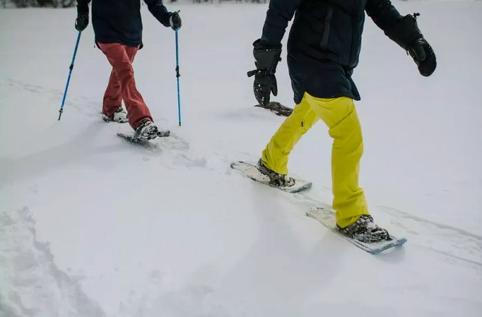 Snowshoeing activities at Station Boréale in Canada