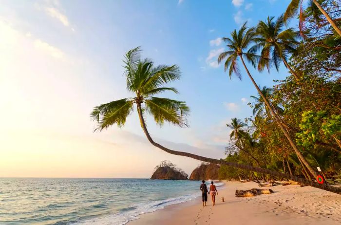 A couple strolling along an exotic beach at sunset in Costa Rica