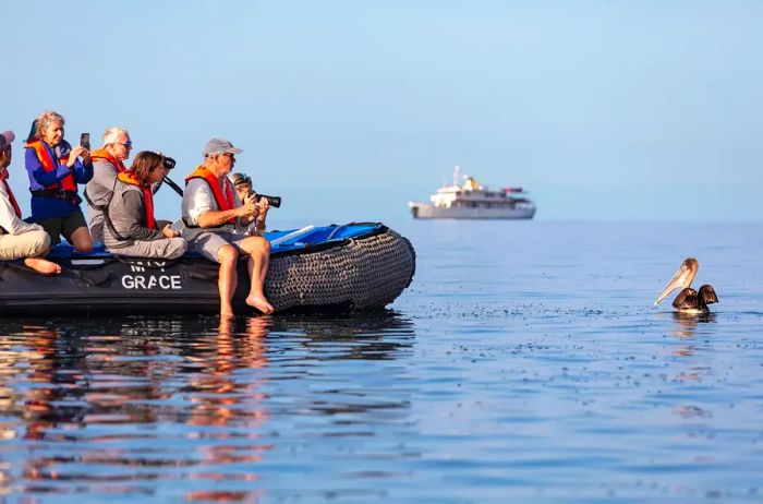 People aboard a zodiac observing wildlife in the Galapagos.