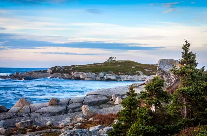 Morning light illuminates the trees and rocks along Nova Scotia's Atlantic coastline.