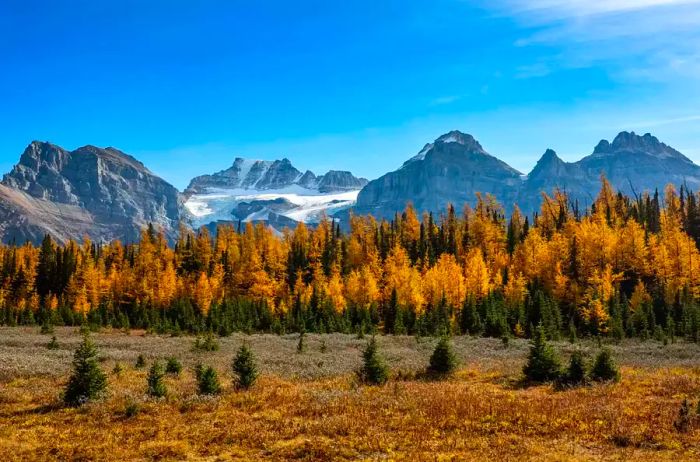 Larch Valley in autumn at Banff National Park, Alberta, Canada.