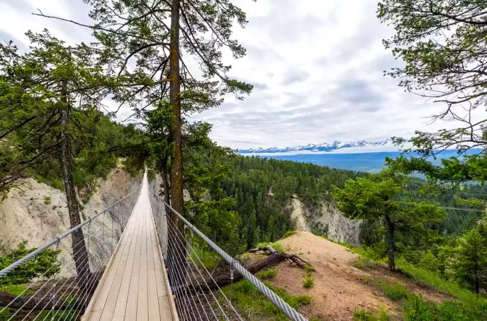 View from Walking on a Wooden Suspension Bridge in Golden