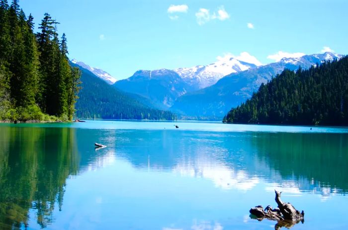 A beautiful view of the tranquil Cheakamus Lake