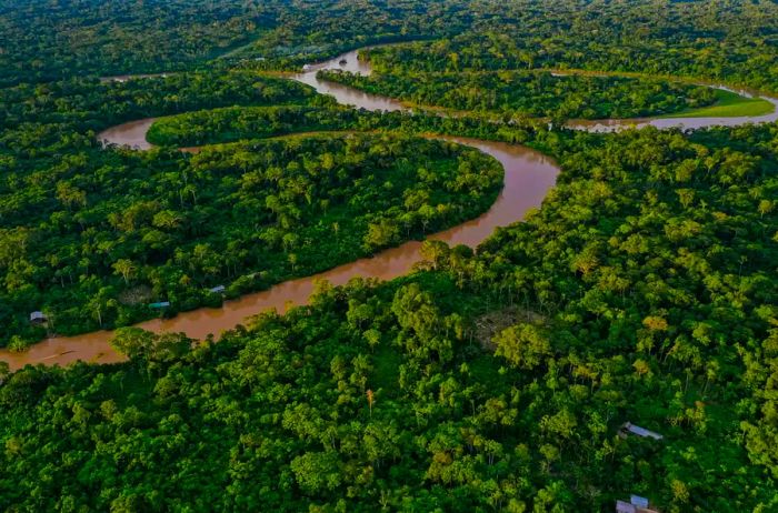 Aerial view of a tropical forest with a winding river flowing through the rainforest canopy, revealing indigenous houses along its banks