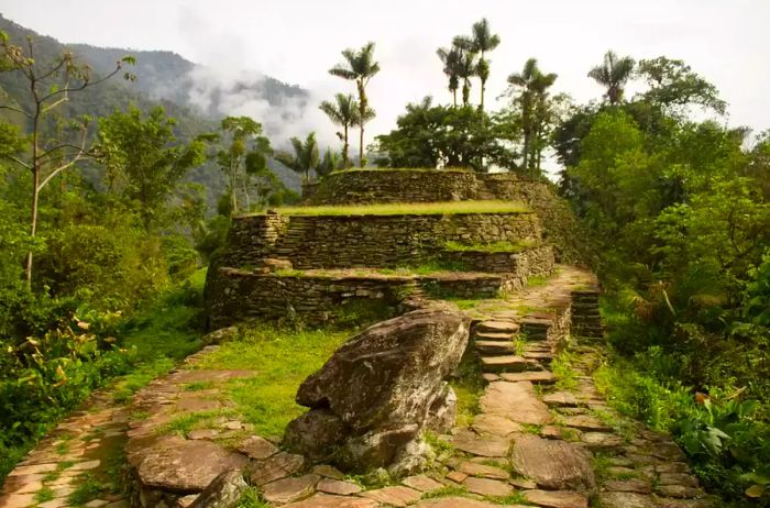 A view of grass growing over ancient structures in the Lost City of Colombia